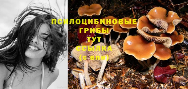 COCAINE Краснослободск