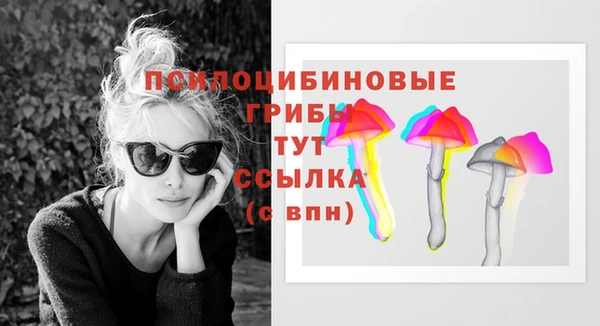 меф Коряжма