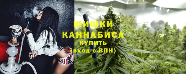 гидра Козловка