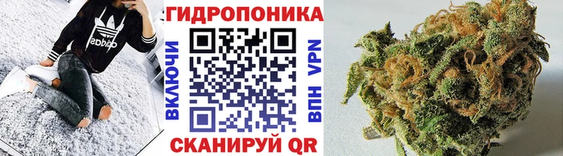 Каннабис гибрид  Кириши 